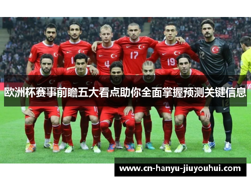 欧洲杯赛事前瞻五大看点助你全面掌握预测关键信息