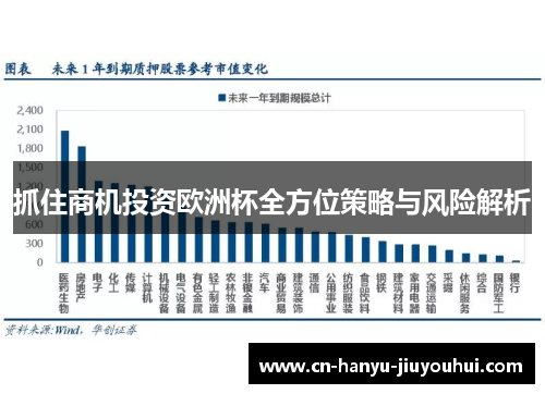 抓住商机投资欧洲杯全方位策略与风险解析 抓住商机投资欧洲杯全方位策略与风险解析