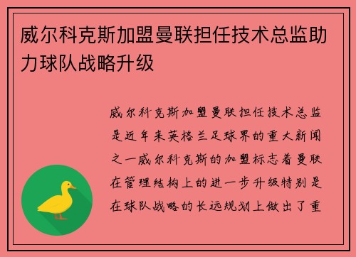 威尔科克斯加盟曼联担任技术总监助力球队战略升级