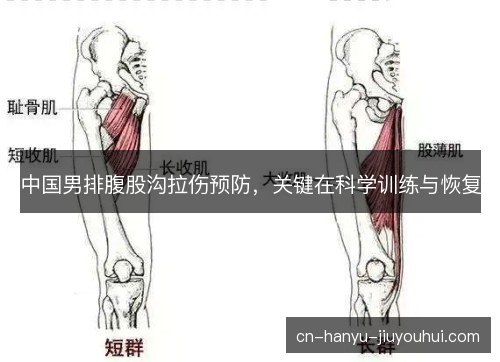中国男排腹股沟拉伤预防，关键在科学训练与恢复